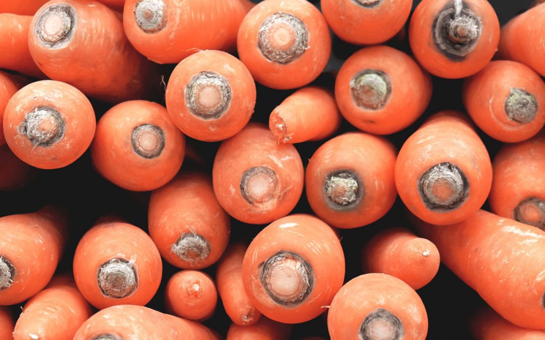 Seasonal Sunday: Carrots